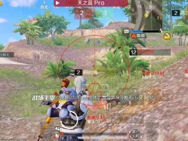 什么是辅助标准和平精英（什么是自瞄和平精英）